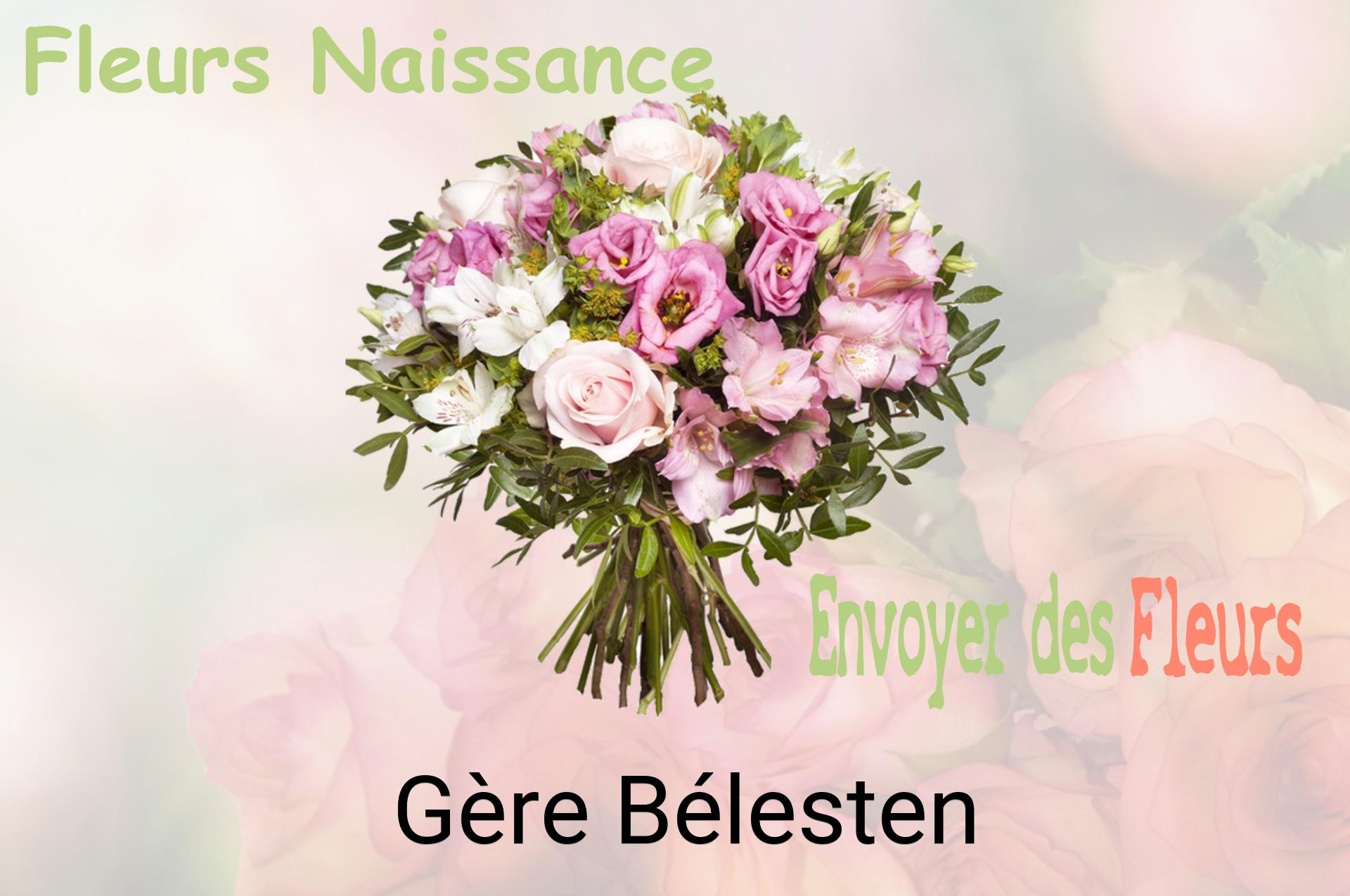 Bouquet de fleurs de naissance livré à Gère-Bélesten